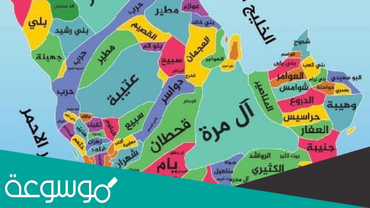 المقحم وش يرجعون