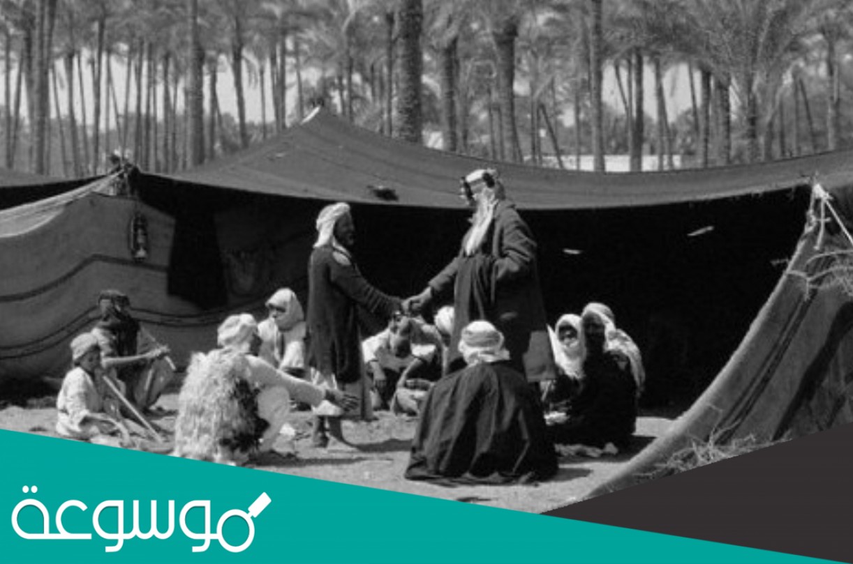 الشنيفي وش يرجعون