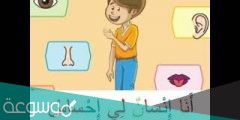 كلمات انشودة الحواس الخمسة مكتوبة