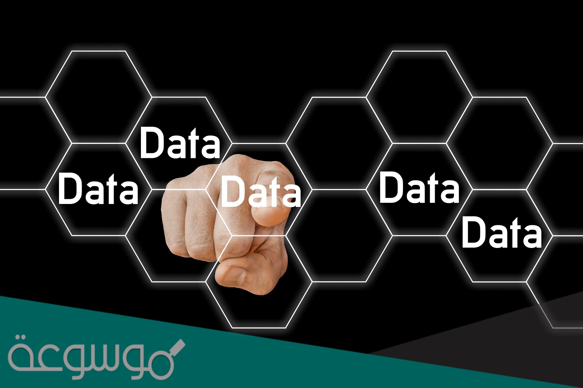 ماهي اكبر قاعدة بيانات في العالم