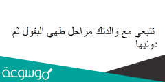 تتبعي مع والدتك مراحل طهي البقول ثم دونيها