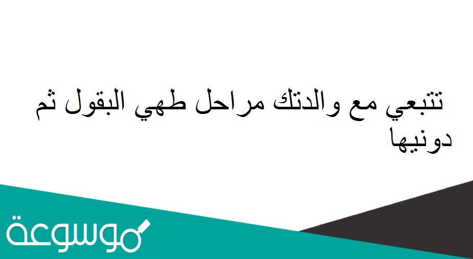تتبعي مع والدتك مراحل طهي البقول ثم دونيها