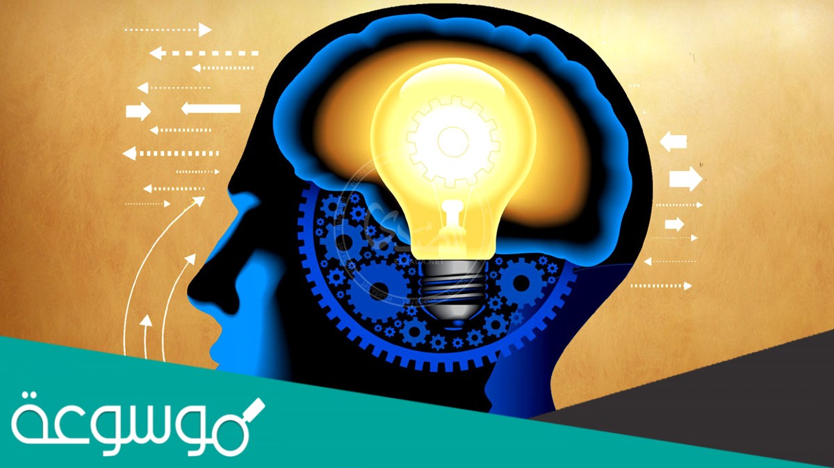 تخمين علمي عن كيفية ارتباط المتغيرات بعضها مع بعض