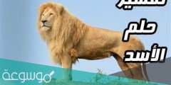 تفسير حلم الأسد للمتزوجة في المنام