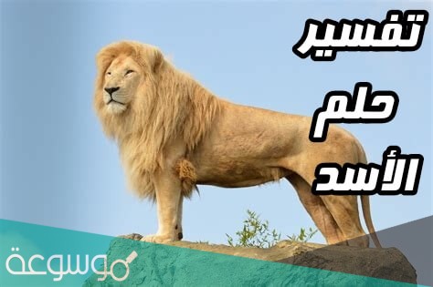 تفسير حلم الأسد للمتزوجة في المنام