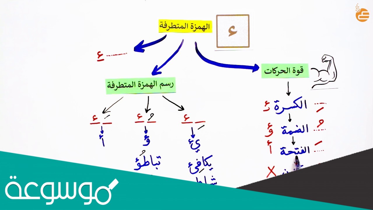 تكتب الهمزه المتطرفه على الالف