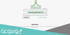 تسجيل دخول بلاك بورد جامعة الحد الشمالية