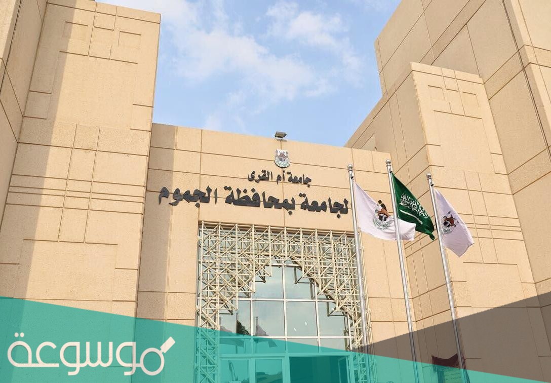 الكليات والمعاهد في جامعة