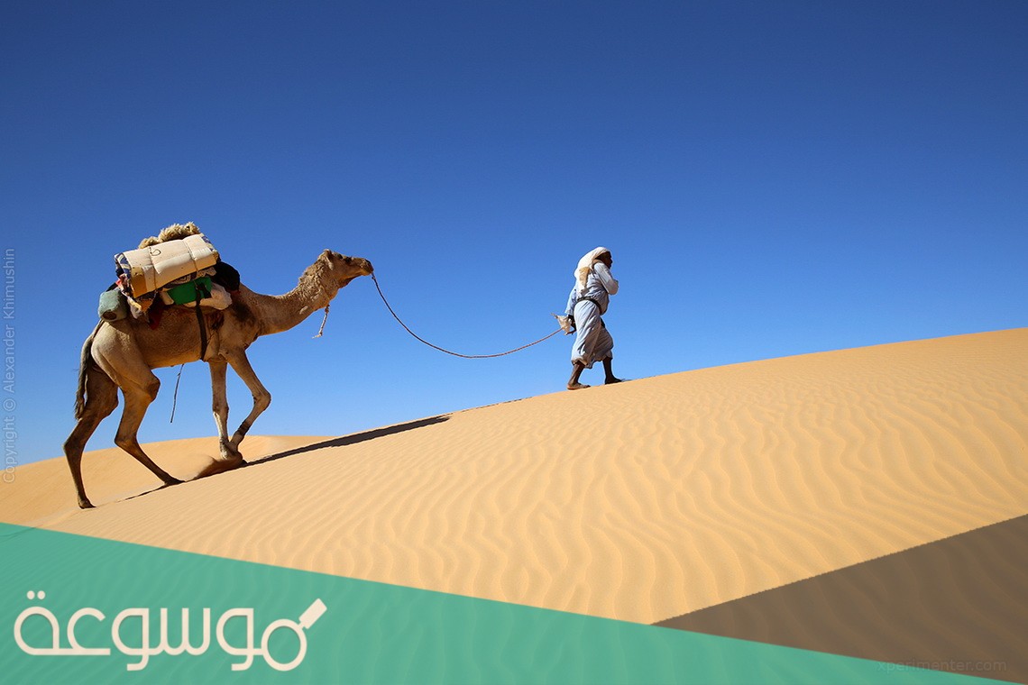 الجعيد وش يرجعون