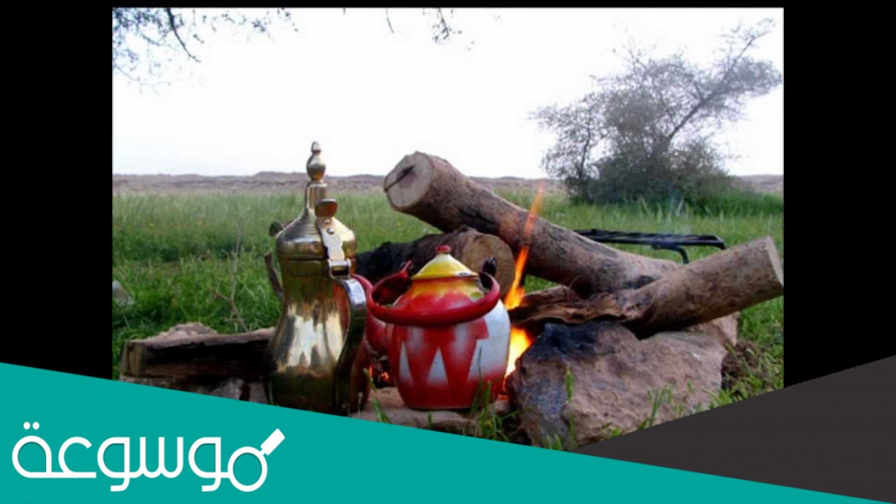 الجميلي وش يرجع