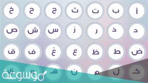 نخلات مجتمعة تتشعب من اصل واحد