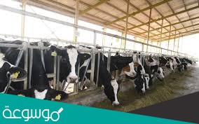 من اسباب قلة الثروه الحيوانية في وطني السعودية