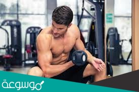 خصائص العضلة السريعة الانقباض