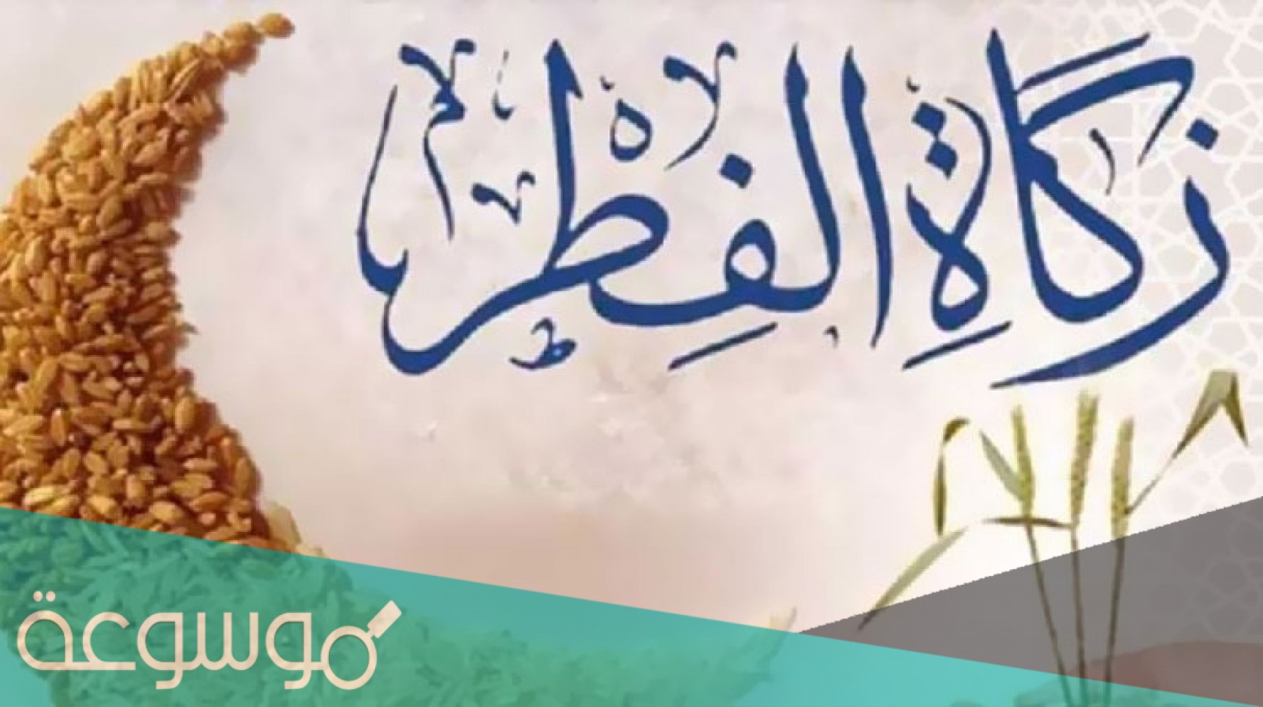 تجب زكاة الفطر على الصغير والكبير من المسلمين