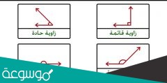 من الشكل أدناه أزواج الزوايا المتجاورة هي