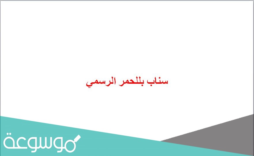 سناب بللحمر الرسمي