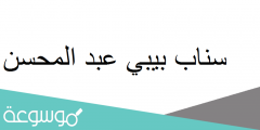 سناب بيبي عبد المحسن
