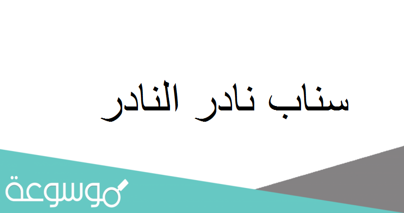 سناب نادر النادر
