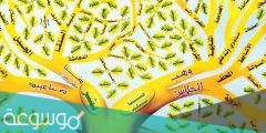 شجرة قبيلة عنزة واضحة