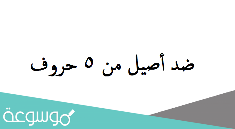 ضد أصيل من 5 حروف