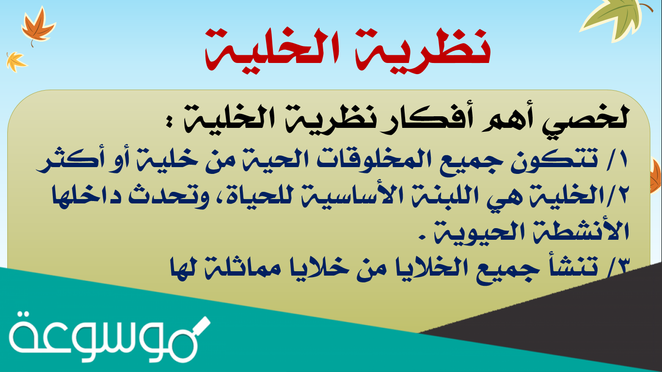 وضح لماذا سميت الخلية لبنة الحياة