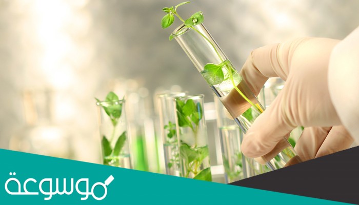 علم الكيمياء الذي يستقصي تحلل مواد