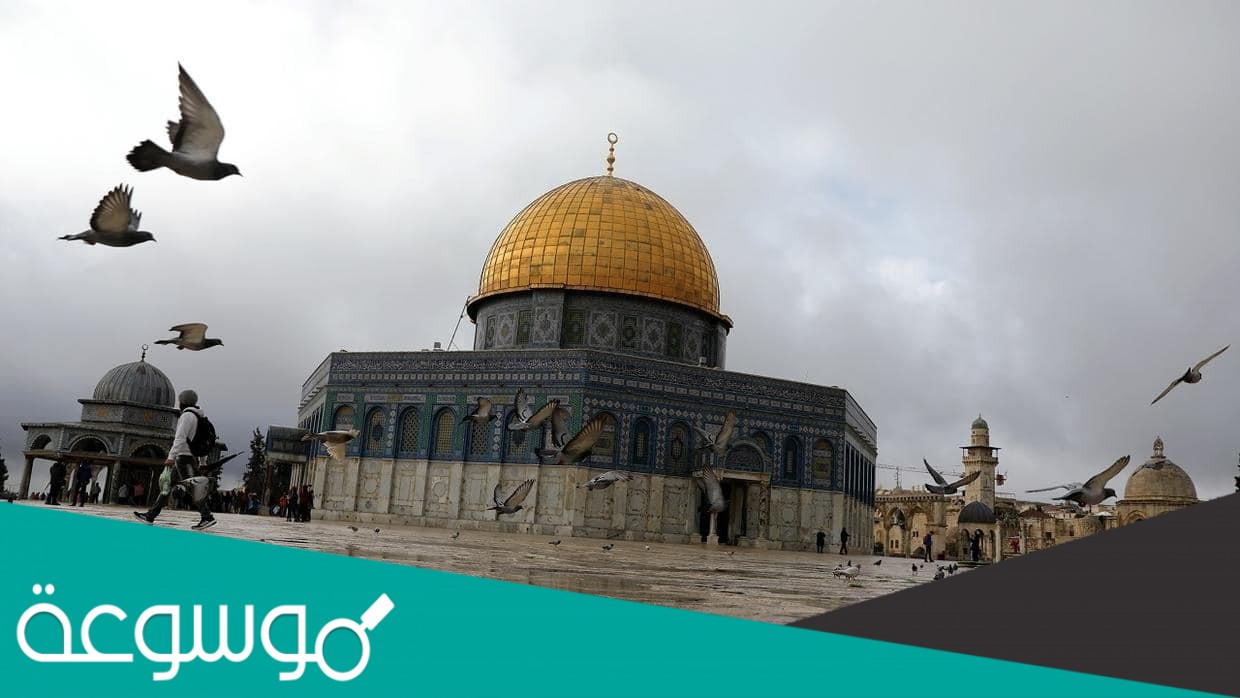 الحاكم العثماني الذي تولى إدارة فلسطين بنفسه عندما أحس بخطر اليهود عليها هو