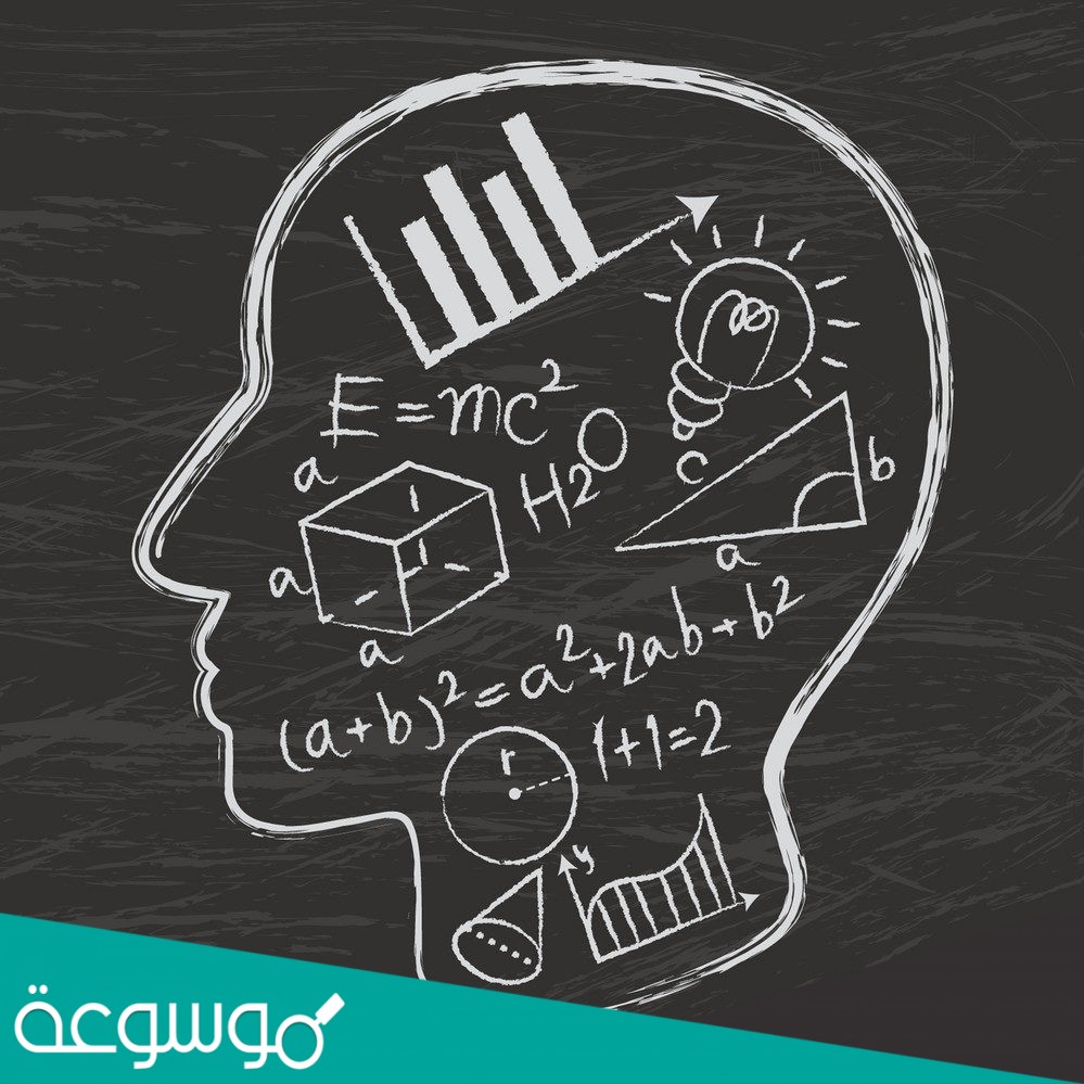 في أحد المتنزهات كانت نسبة الأطفال إلى الكبار ٢ إلى ٣