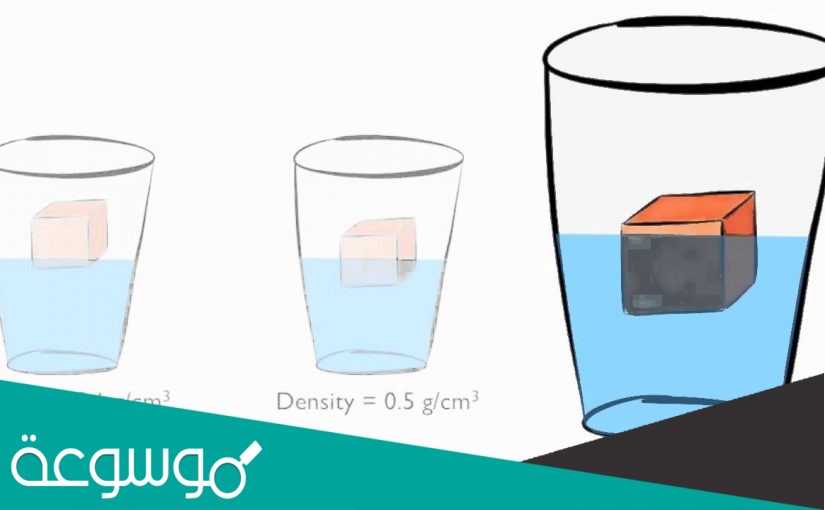 ما الذي يعبر عن كمية المادة في الجسم