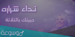 كلمات اغنية حبيتك بالتلاتة نداء شرارة