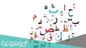 عند اختيار حرف من حروف كلمة جبل و حرف علة من حروف كلمة وكيل فإن الرسم الشجري الذي يمثل فضاء العينة هو الممثل أدناه .