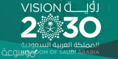كم بلغ عدد برامج تحقيق رؤية المملكة 2030