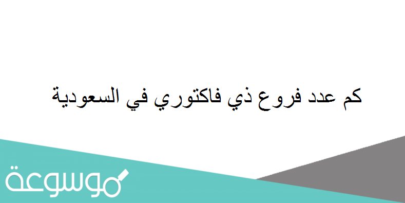 كم عدد فروع ذي فاكتوري في السعودية