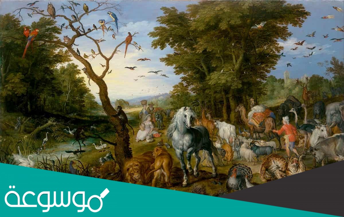 كيف تحصل المخلوقات الحية على الطاقة