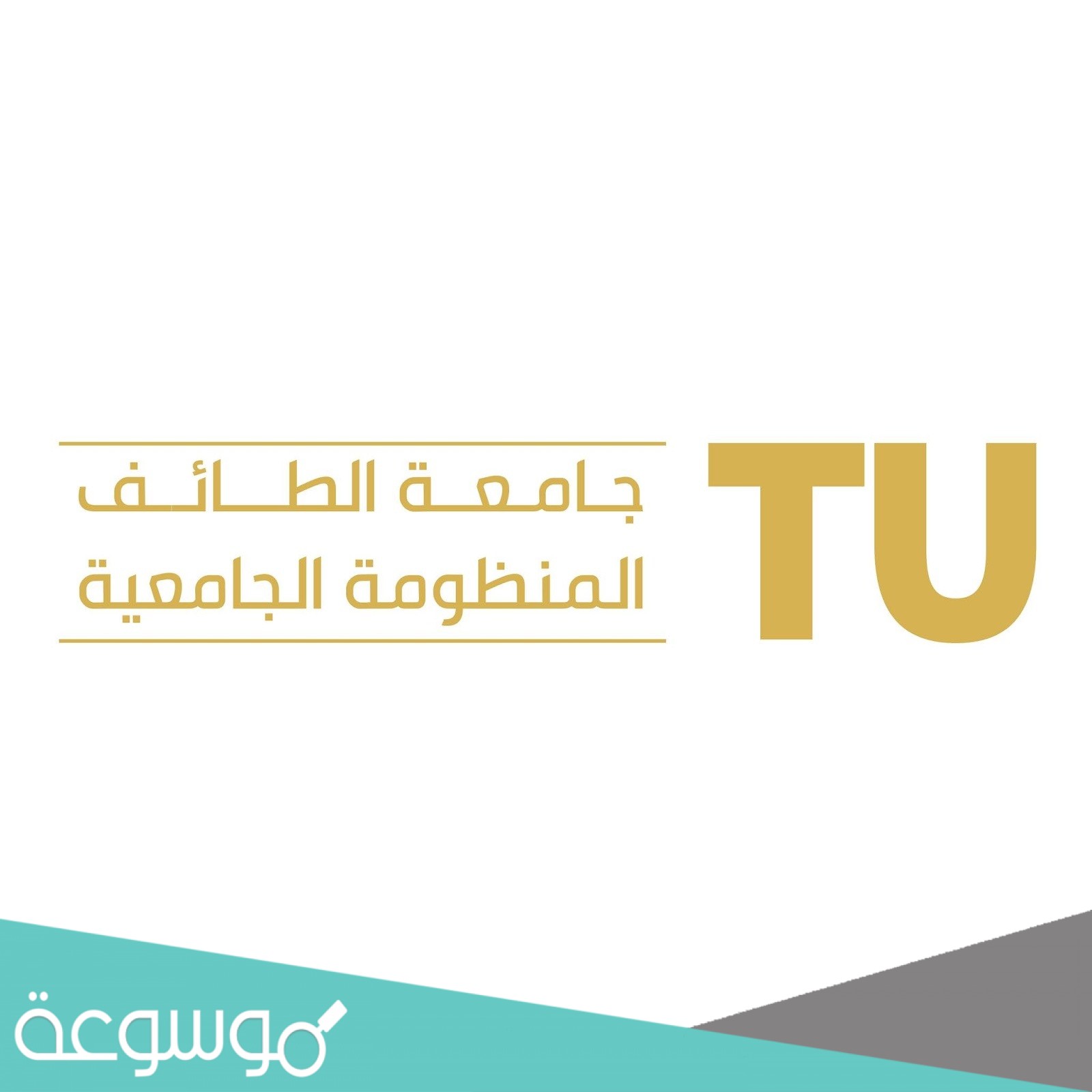 كيفية حساب النسبة الموزونة جامعة الطائف