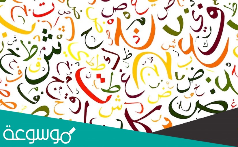 إن الماء النقي نعمة يجدر بنا المحافظة عليها نوع الجملة