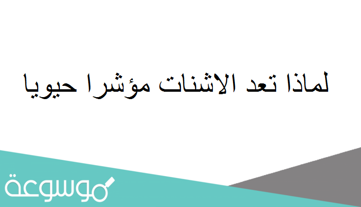 لماذا تعد الاشنات مؤشرا حيويا