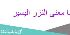 ما معنى النزر اليسير