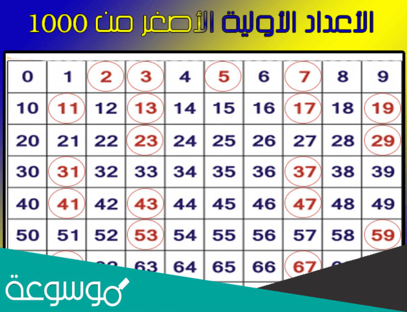 ما هي الاعداد الأولية وطريقة تحديدها