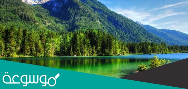 أي الموارد الطبيعية الآتية متجدد ؟