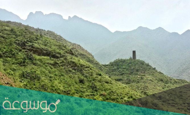 كم عدد المحميات في المملكة