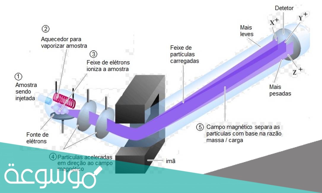 قانون نسبة شحنة الأيون إلى كتلته