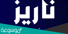 معنى اسم ناريز وأصله وطريقة كتابته بالإنجليزية