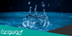 من اشكال الماء ؟
