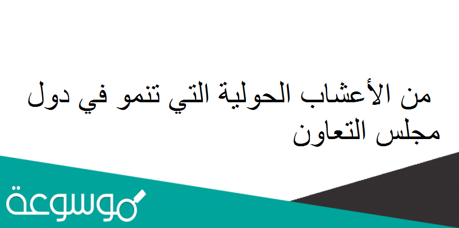 من الأعشاب الحولية التي تنمو في دول مجلس التعاون