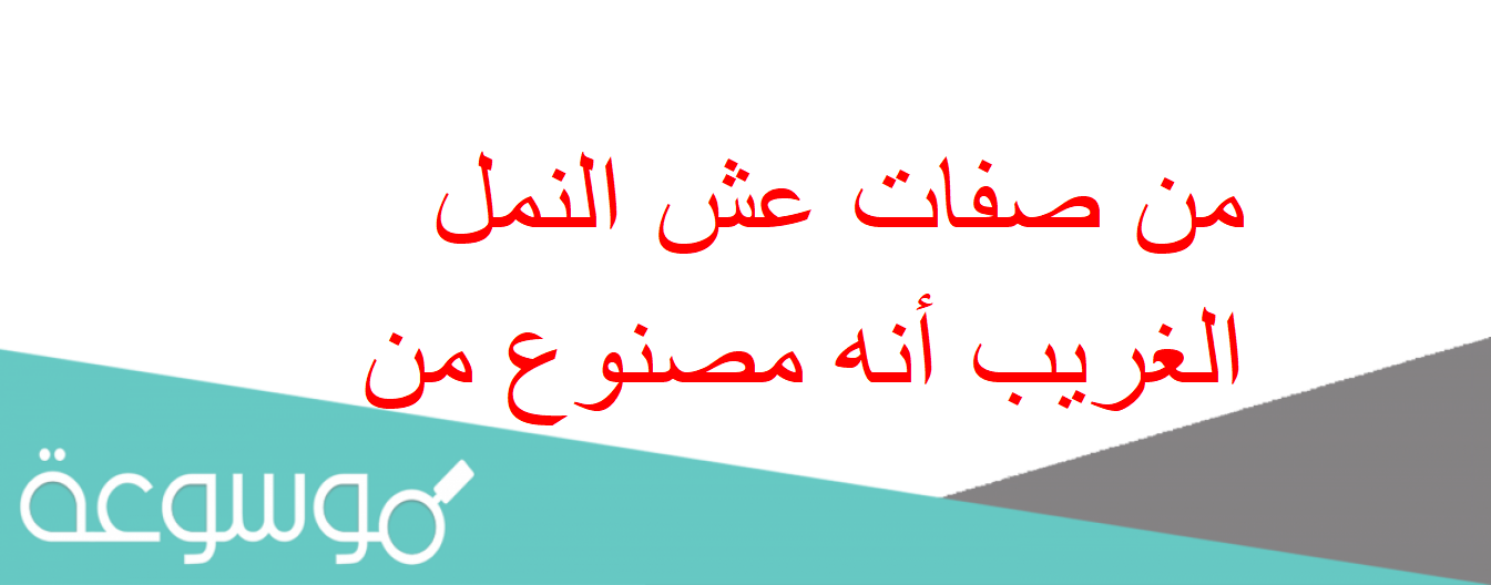 من صفات عش النمل الغريب أنه مصنوع من