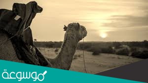 لحق النبي صلى الله عليه وسلم بأصحابه بعد أن أذن الله له بالهجرة