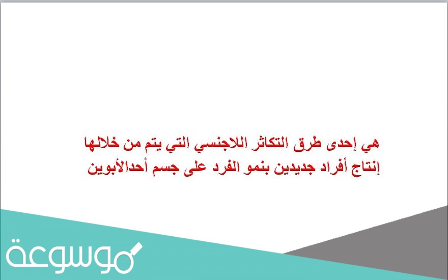 هي إحدى طرق التكاثر اللاجنسي التي يتم من خلالها إنتاج أفراد جديدين بنمو الفرد على جسم أحدالأبوين