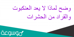 وضح لماذا لا يعد العنكبوت والقراد من الحشرات