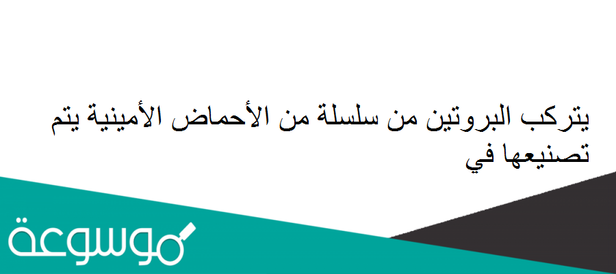 يتركب البروتين من سلسلة من الأحماض الأمينية يتم تصنيعها في